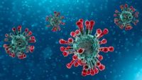 Situasi Terkini Perkembangan Novel Corona Virus (27 Januari 2020)